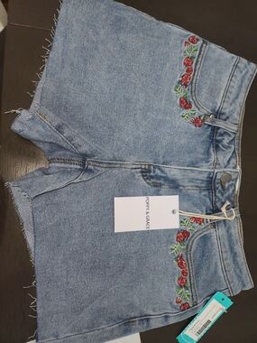 Light Blue Denim Shorts with Red Rose Embroidery